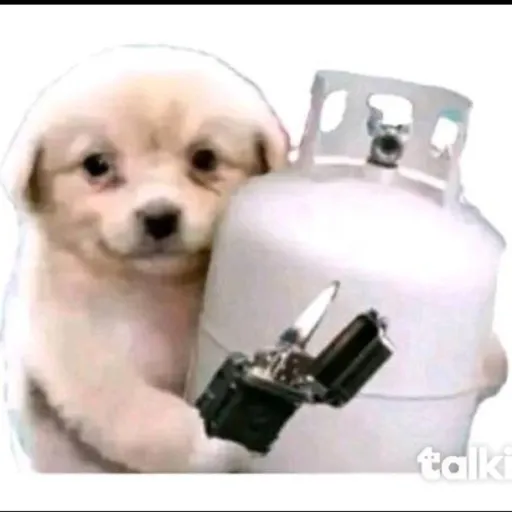 creator -__-.._---+'s avatar