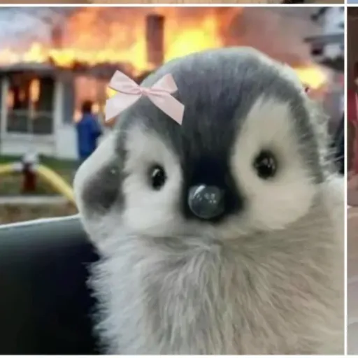 creator penguin 🐧!1!1!1's avatar