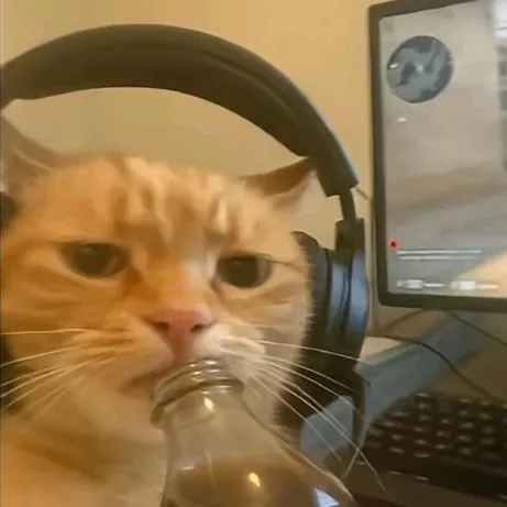 creator buurly's avatar