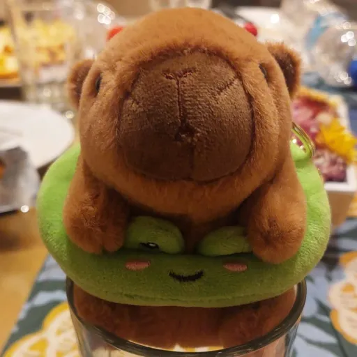 creator capibari's avatar