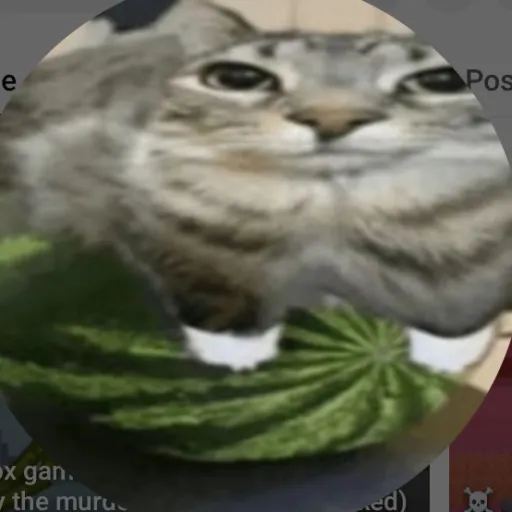 creator Witermelon_cat1-YT's avatar