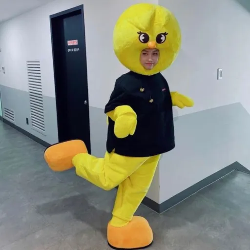 creator fan des stray kids's avatar