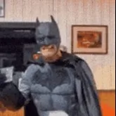 creator bat bumpy's avatar