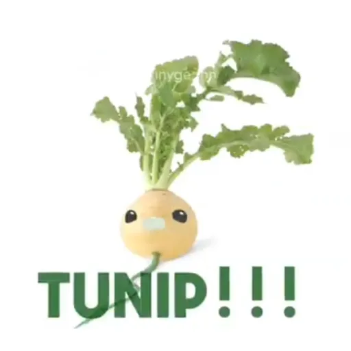 creator tunip 90's avatar