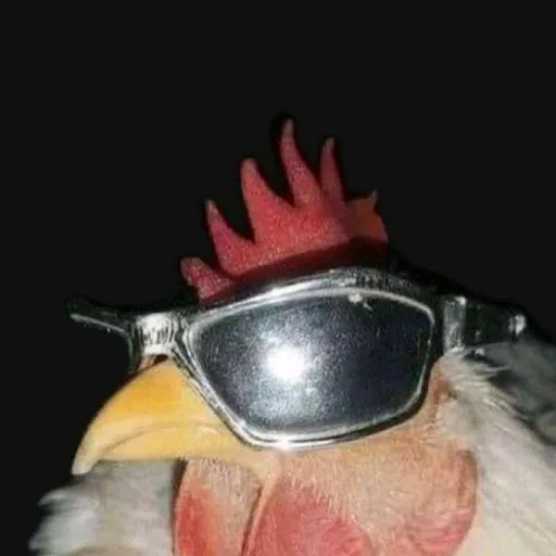 creator chicken...'s avatar