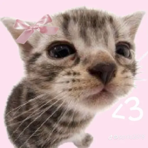 creator Sarah_MS's avatar