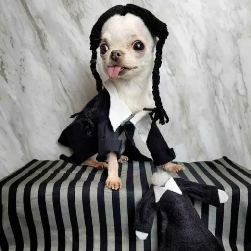 creator vamp_diaries_♡'s avatar