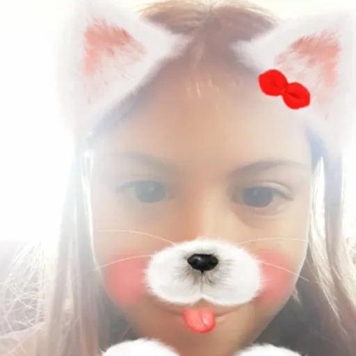 creator •♡kitten lover♡•'s avatar