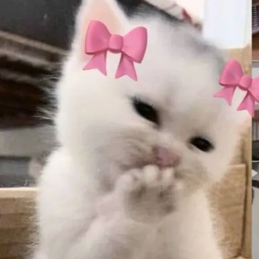 creator La hambreada's avatar