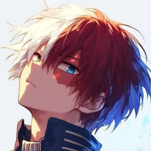 creator 🔥 ShotoTodoroki ❄'s avatar