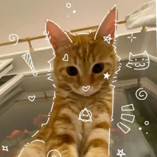 creator .🖤ratatouille🖤.'s avatar