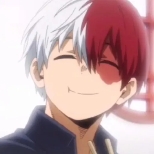creator Shoto's wifey_1234's avatar