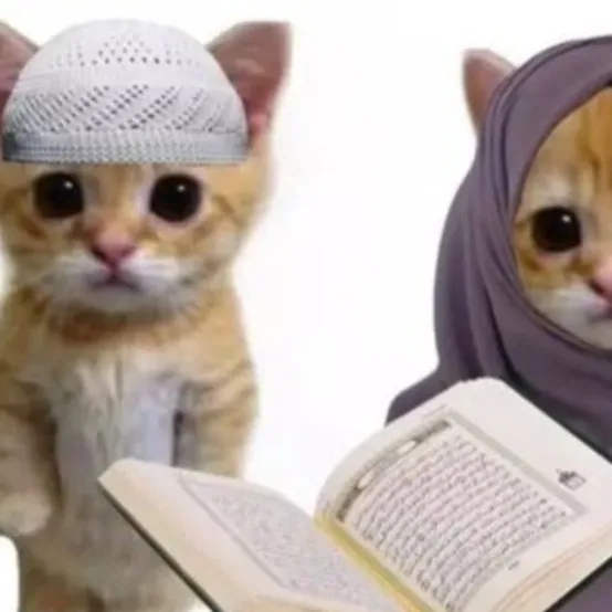 chat with ai character: Muslim School