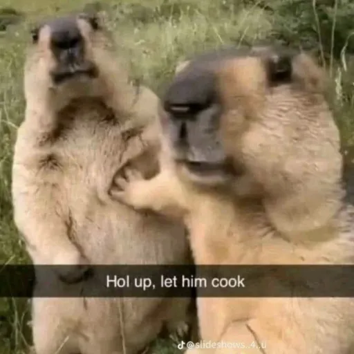 creator Hi......?'s avatar