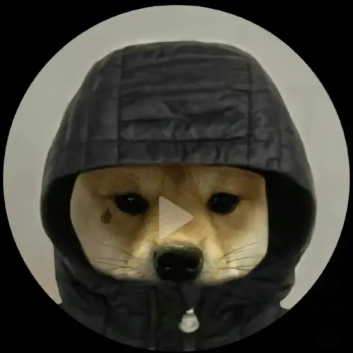 creator , Sergio's avatar