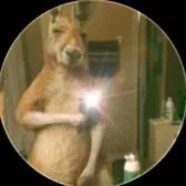 creator β‘ππππππ πππππππβ₯'s avatar