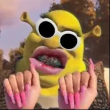creator ✨STUPID BITCH✨'s avatar