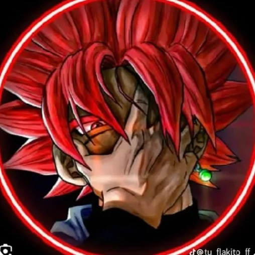 creator DGAC's avatar