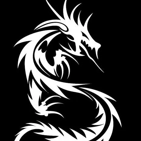 creator Gardutzzz's avatar