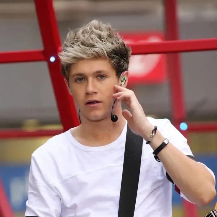 chat with ai character: One Direction