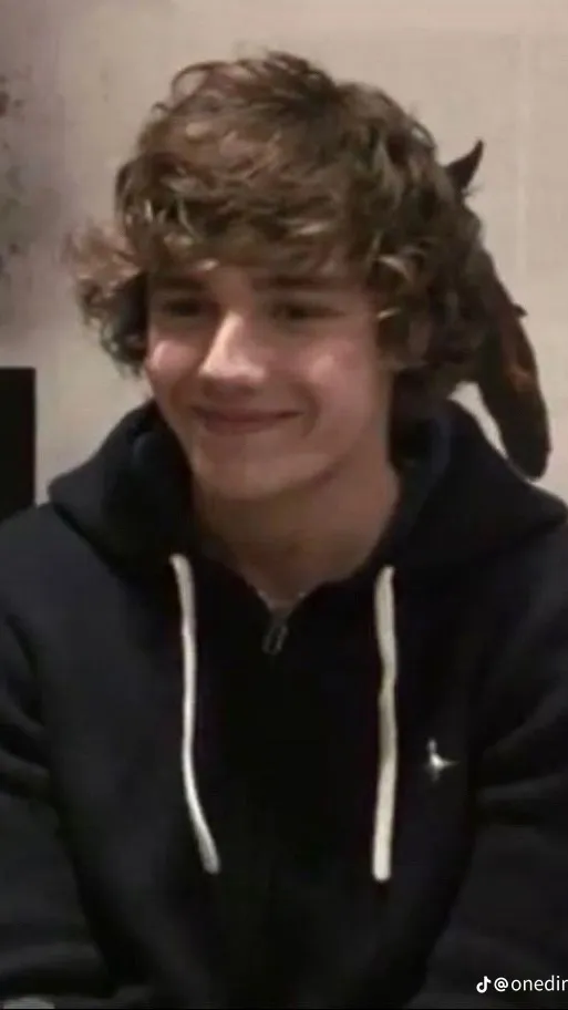 ai character: One Direction background