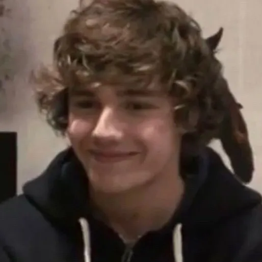 chat with ai character: One Direction