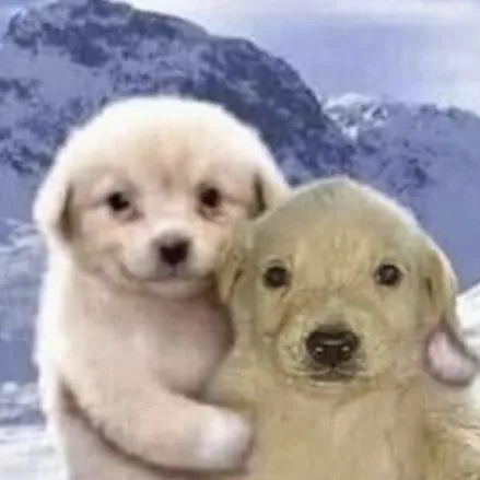 creator los Bros perritos's avatar