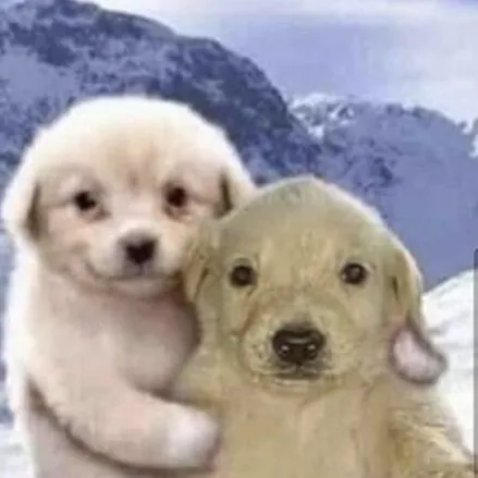 creator el perrito 🇵🇪♍'s avatar