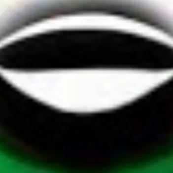 chat with ai character: V (not a robot)