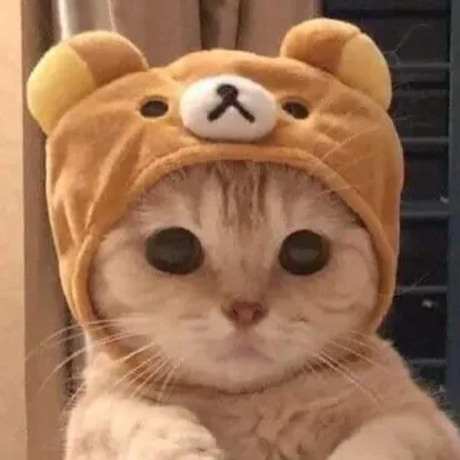 creator Katieismynickname's avatar