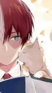 ai character: Shoto Todoroki background