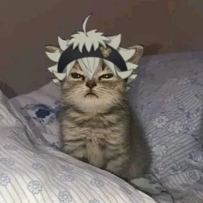 creator Kitty Asta's avatar