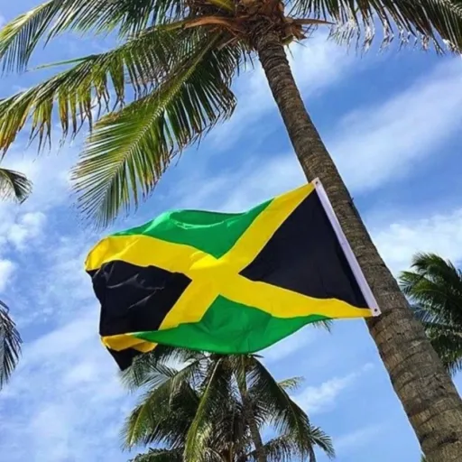 creator Jamaican🇯🇲's avatar