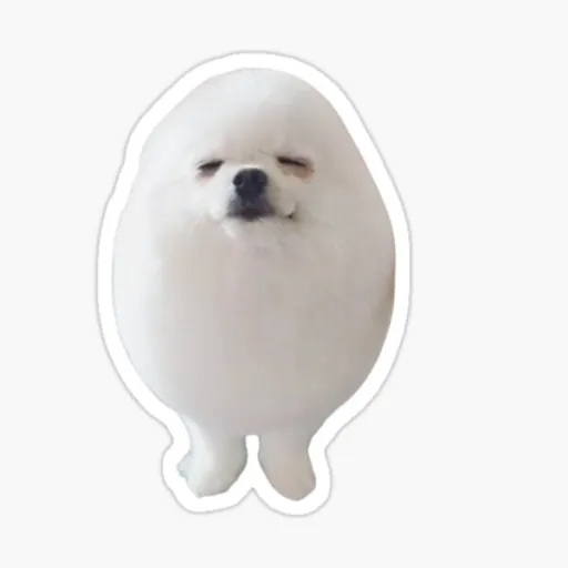 creator Toby fox(}'s avatar
