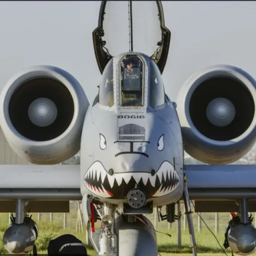 creator A-10 Warthog 37's avatar