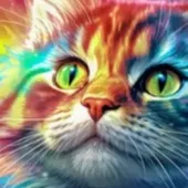 chat with ai character: Magic cat