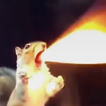 creator ☆-alguien random's avatar