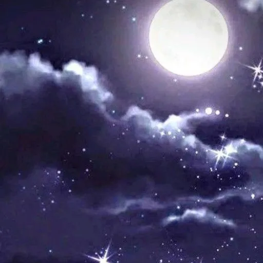 creator moonlight 🌙🌙🌙✨🌟's avatar