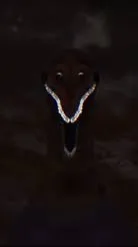 ai character: ฿ⱠØØĐ฿₳₮Ⱨ ₲ØĐⱫłⱠⱠ₳ background