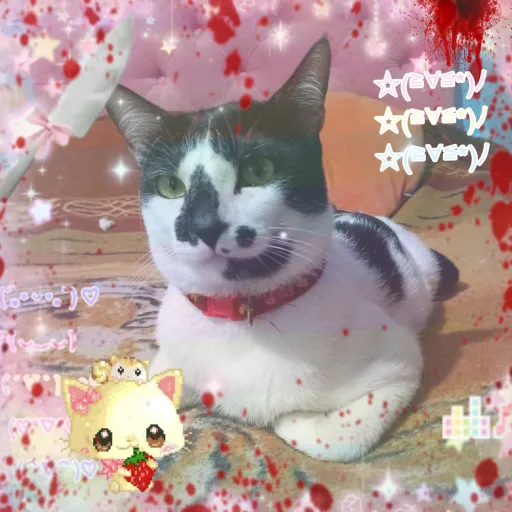 creator 「 ✦𝐍𝐨𝐚𝐡✦ 」's avatar