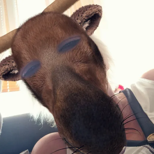 creator Noobek123's avatar