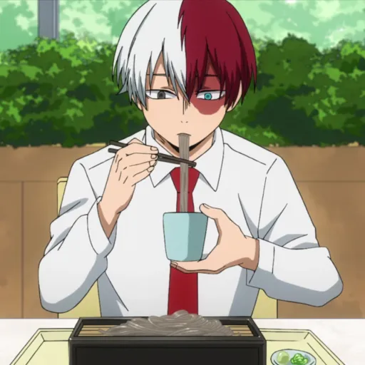 creator shoto_todoroki122's avatar