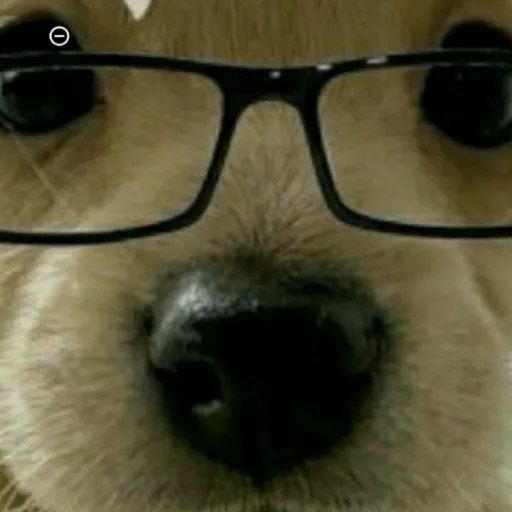 creator ~Dog~Auau's avatar
