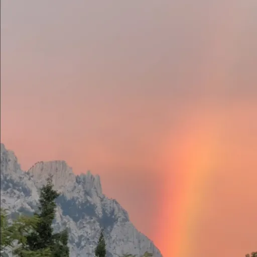 creator Лунна ☪️☦️🛐's avatar