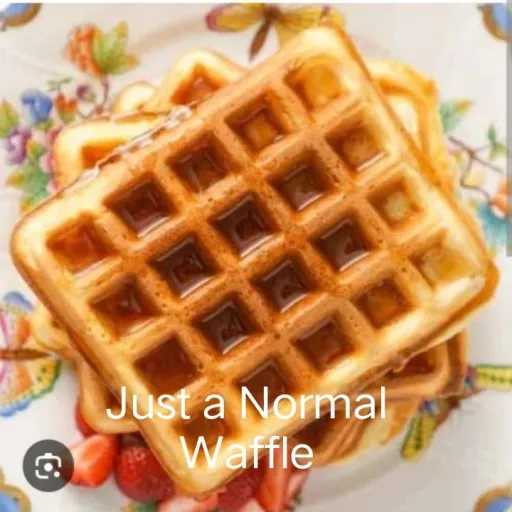 creator a Normal Waffle's avatar