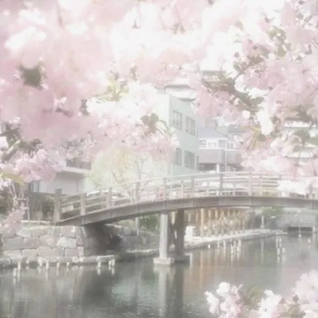 creator 桜の木's avatar
