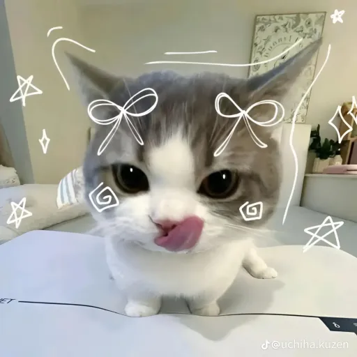 creator miyuki shino's avatar