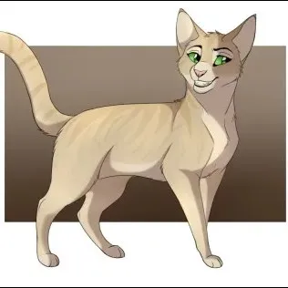 creator Tempête de sable🐱's avatar