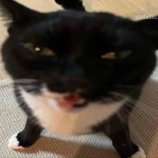 creator The thing...'s avatar