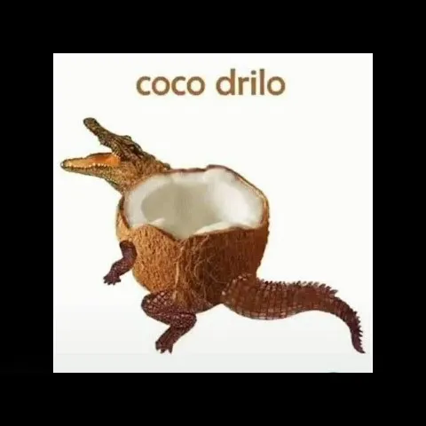 creator coco drilo's avatar